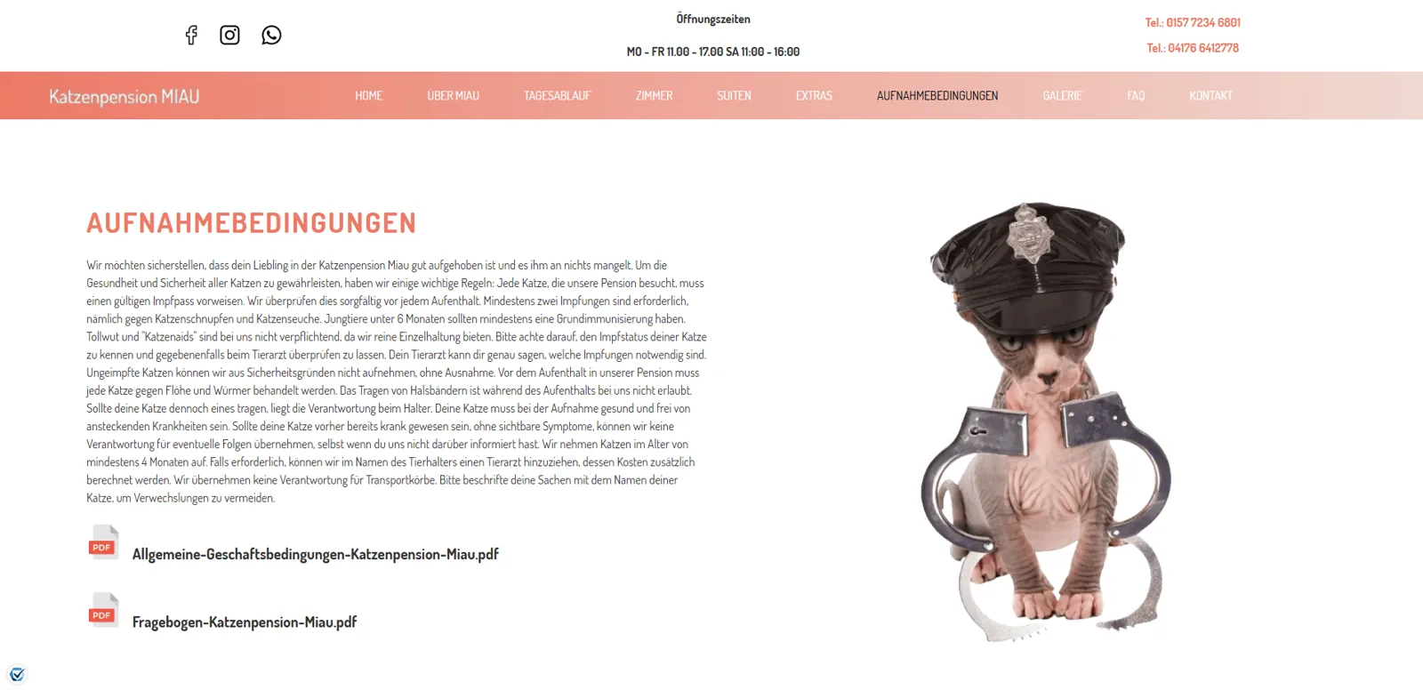 Katzenpension Miau — responsive presentation across devices